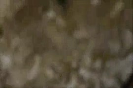 سكس بنات مع اخوتهن في البيت